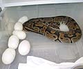 She isn't a very good mother!!