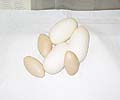 3 Eggs and 3 Slugs